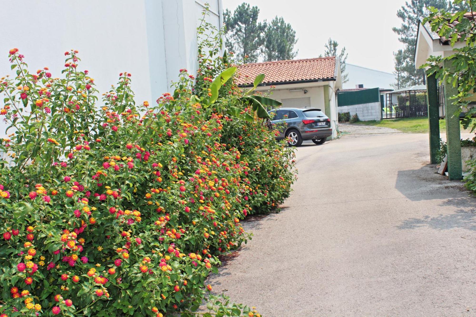 Residencial Pinho Verde มิอัลฮาดา ภายนอก รูปภาพ
